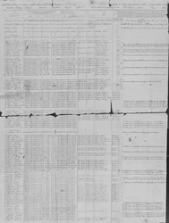 Musterrolle der 1. Missouri Ingenieure, 30. Juni 1864